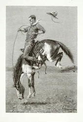 A Bucking Bronco