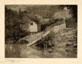 A Duck Pond