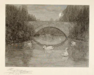 Evening, Swan Lake, Central Park, New York