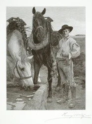 Horses at the Watering Trough