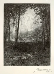 In the Adirondacks