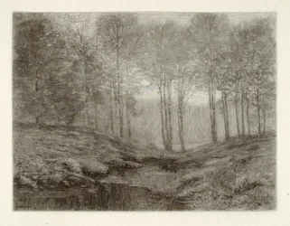 Summer Morning