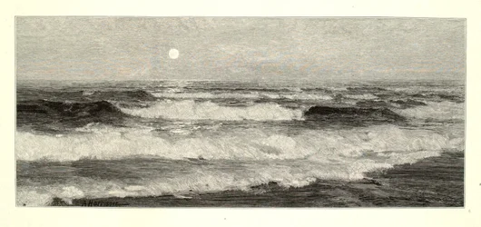 The Moonrise