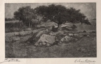 The Roadside