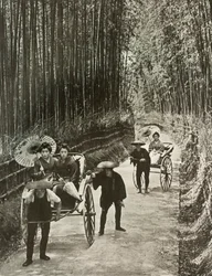 A Bamboo Avenue at Kyoto, 1910