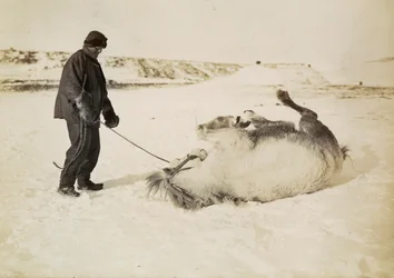 A Man and His Horse in the Snow