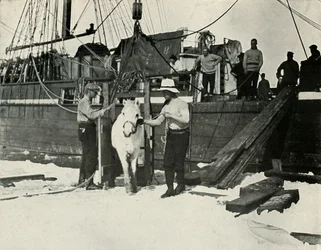 Disembarking the Ponies