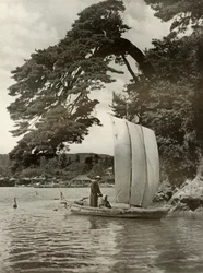 On Matsushima Bay