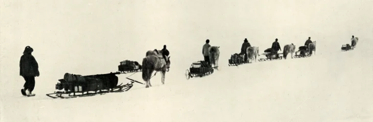 Ponies on the March, 1911-1913
