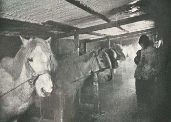The Stables in Winter