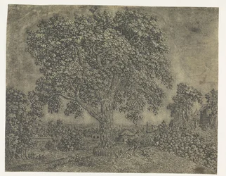 The Large Tree