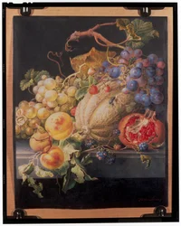 Fruit Still Life