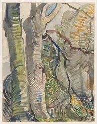 Forest Landscape