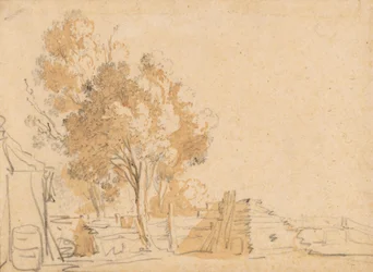 Trees in a Yard