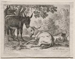 Animals in Landscapes: Donkeys