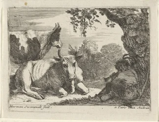Cows