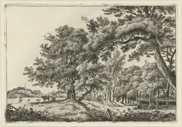 Landscape with Two Cows in the Shade