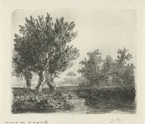 Three Pollard Willows by a Waterside