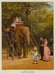 A Summer Holiday