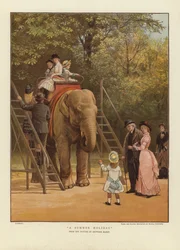 A Summer Holiday