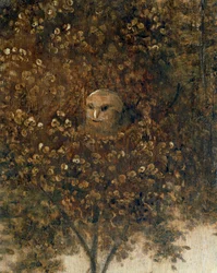 The Ship of Fools