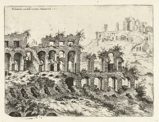 View of the Colosseum and the Palatine