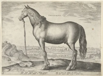 Horse from Thessaly