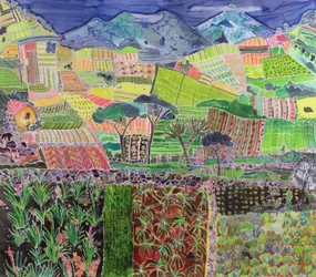 Cabbages and Lillies Revisited, Guatemala, 2006