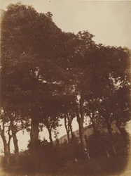 Field at Bonaly