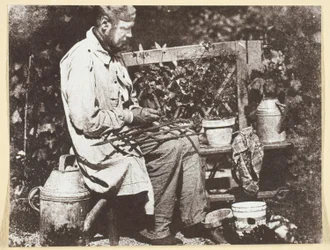 Bayard Gardener