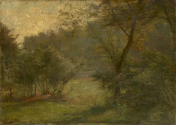 Forest View