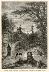 Night came on, and Passepartout returned to the town, from Around the World in Eighty Days by Jules Verne, engraved by Louis Prevost, 1873