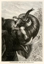 Passepartout not at all frightened, from Around the World in Eighty Days by Jules Verne