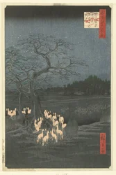 Fox Fires on New Year