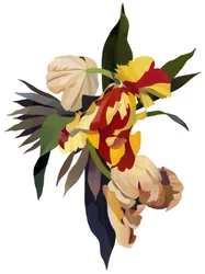 Tulip Parrot 3