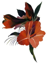 An imaginary flower based on an amaryllis