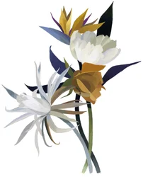 An Imaginary Flower with a White Base