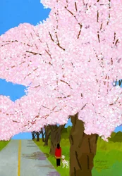 Cherry trees