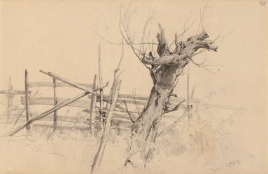 Dried-up Tree Trunk