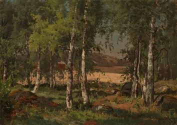 Landscape with Birch Grove and Rye Field