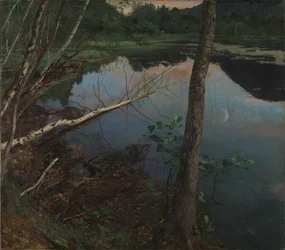 Summer Night