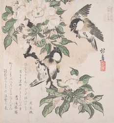 Spring Rain Collection Harusame Shu, vol. 3: Marsh-Tits and Crab Apple Flowers