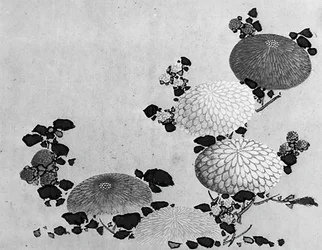 Chrysanthemums