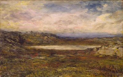 Wild Coast, Newport
