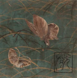 Butterflies and grasses, Edo period, early 17th century