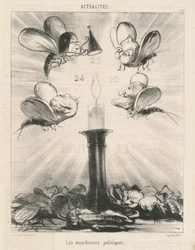 The Political Gnats