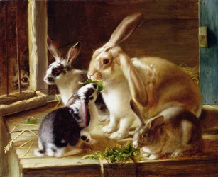 Long-Eared Rabbits in a Cage, Watched by a Cat