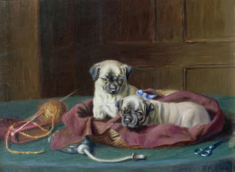 Pug Puppies in a Basket