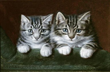 Two Tabby Kittens
