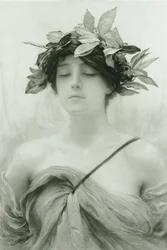 Daphne